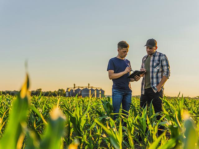 (Courtesy of Syngenta)