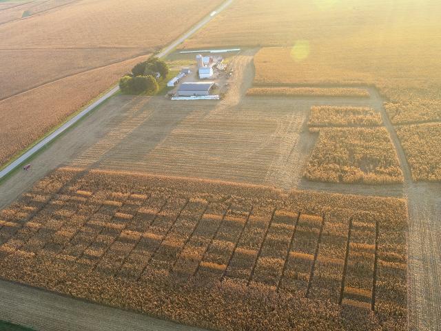 The height differences among corn hybrids in a FIRST corn plot in northwest Illinois are clearly visible from above. (Aerial photo courtesy of FIRST)