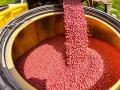 Simple strategies can help control the cost of seeds. (Jim Patrico)