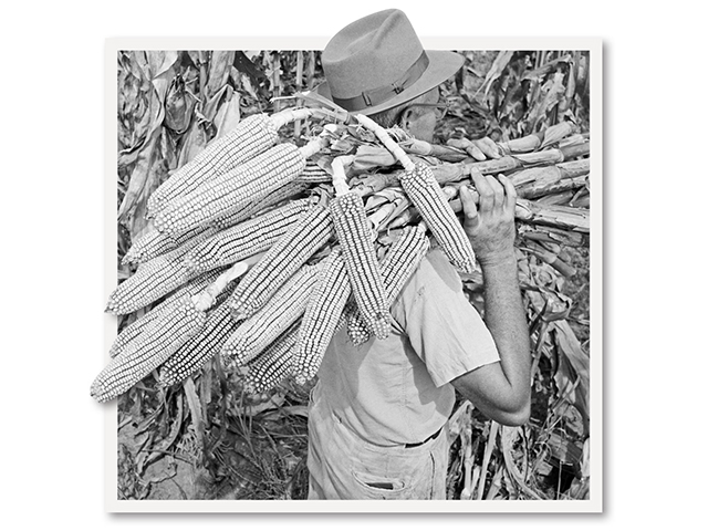 (John McKinney, 1955, Progressive Farmer Archives)