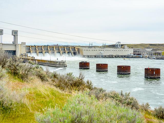 Snake River dams in Washington are at the center of a complicated dispute. (Chris Clayton)