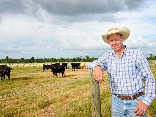 Steve Yoder has figured out how to care for high-risk calves and make them profitable for the producer who is finishing them. (Becky Mills)