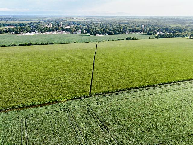 The line shows part of the three-mile journey vandals took across the growing fields of multiple farmers. (Katie Pratt)