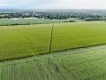 The line shows part of the three-mile journey vandals took across the growing fields of multiple farmers. (Katie Pratt)