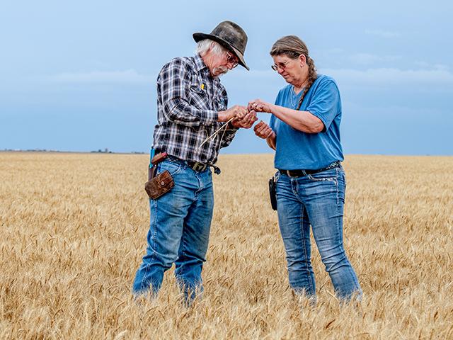 Steve and Kathleen Arnold made the radical choice to stop irrigating. Now, they are ready to pass on the legacy. (Joel Reichenberger)
