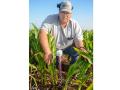 To gauge the water needs of his crops, Ryan Speer deploys sensors that measure the shrink and swell of plant tissue. (Dan Crummett)