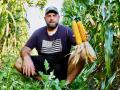 Russell Hedrick is running trials on 60-inch corn rows that provide more space to grow cover crops for his cattle to graze following harvest. (Des Keller)