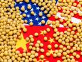 U.S. farmers should see minimum sales of 25 million metric tons to China for three years. That&#039;s going to help stabilize trade flow for farmers, but as the president of the American Soybean Association points out, profitability right now is still elusive. (Image by JJ Gouin, Getty Images)
