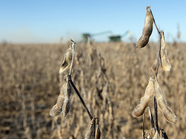 (Progressive Farmer image by Joel Reichenberger)