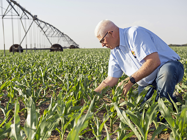 By monitoring water in the soil profile, Wade Lenz has been able to cut one to two waterings per season. (Progressive Farmer image by Joel Reichenberger)