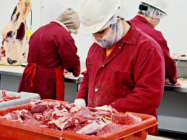 The A-Plus Act was introduced in the House of Representatives, as legislators attempt to make a change to the Packers and Stockyards Act. (DTN/Progressive Farmer file photo by Victoria G. Myers)