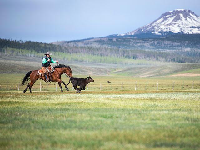 Ranching may be for optimists, but economists looking toward 2023 are highly pessimistic about what is ahead. (DTN/Progressive Farmer file photo by Joel Reichenberger)