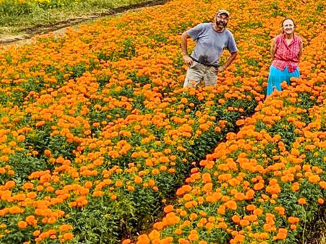 The Arnoskys, Frank and Pam, grow dozens of flowers and bedding plants in two Texas locations and northern Minnesota. (Des Keller)