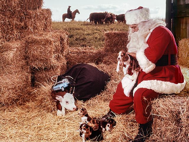 (John McKinney, Progressive Farmer Archives, 1964)