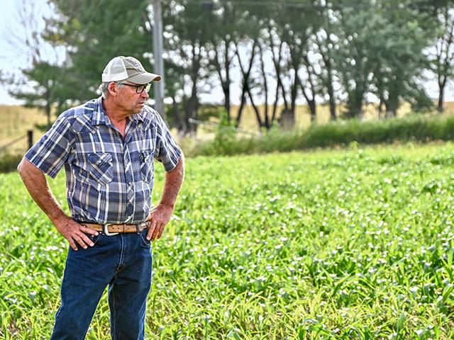 Dan Taylor says cover crops allow his family to increase their herd size and income potential. (Jennifer Carrico)