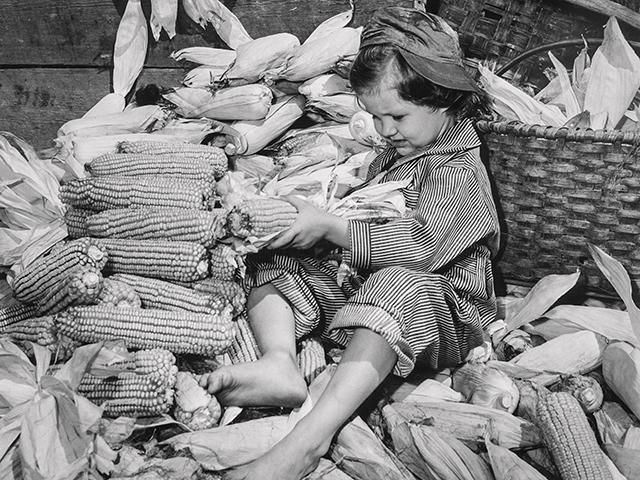 (Progressive Farmer Archives)