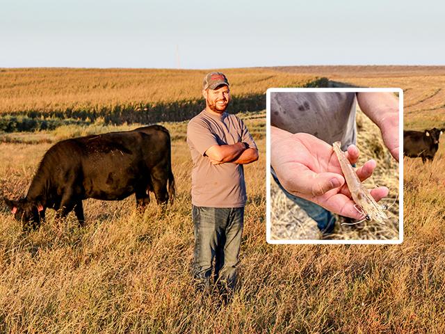 Grant Jones raises cattle, diverse cover crops and shrimp on his family&#039;s farm in Nebraska. (Des Keller)