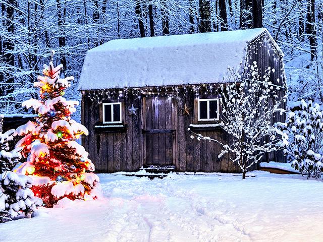 (Janine Lamontagne, Getty Images)