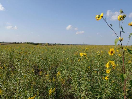 As of January 2026, Nebraska, Colorado and South Dakota ranked as the three largest CRP states by enrolled acreage. (DTN file photo)