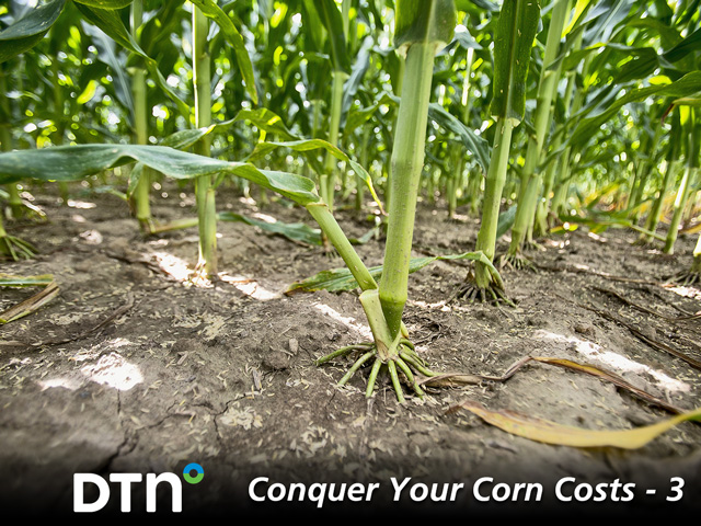 The Verell family&#039;s corn-seeding rates are chosen based on optimum economic return. (DTN/Progressive Farmer photo by Lisa Buser)