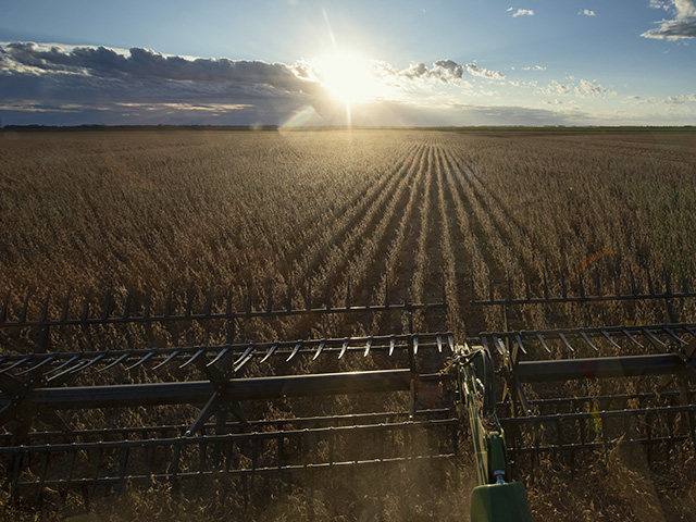 North Platte, Nebraska, leaders are looking for a company to build a new soybean crush plant at an industrial park site near the western Nebraska city. (DTN file photo)