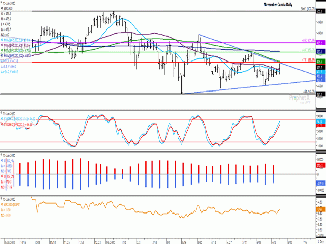 November canola reached a three-week high of $475.50/metric ton on June 15. Various levels of potential technical resistance lies from $475.80/mt to $476.50/mt, while a breach of this range could lead to a move to $480.70/mt. The red bars on the histogram of the second study shows commercial traders continuing to hold a bullish net-short position in canola futures, while the blue bars shows noncommercial short-covering taking place in the week ending June 9. (DTN ProphetX chart)