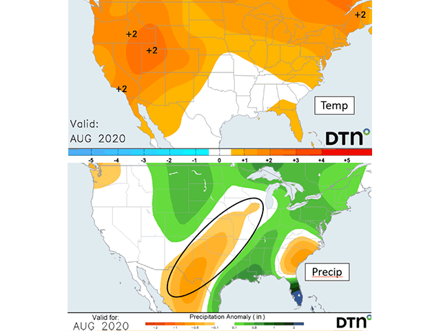 August looms very warm with temperatures running above normal, while precipitation has a large portion of the western Midwest through the Southern Plains leaning below normal. (DTN graphic)