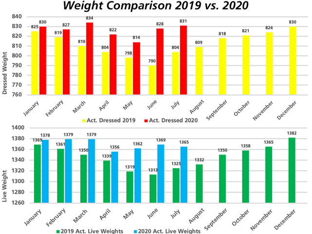 Comparing 2019 and 2020 carcass weights is as alarming as the backlog itself. (DTN chart by ShayLe Stewart)
