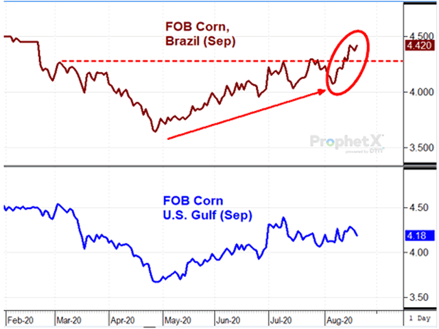 This chart shows FOB corn prices in Brazil near their highest level in six months and 24 cents above comparable prices at the U.S. Gulf. This is unusually bullish behavior for a Brazilian crop that is coming off a record harvest of 3.98 billion bushels. (DTN ProphetX chart by Todd Hultman)