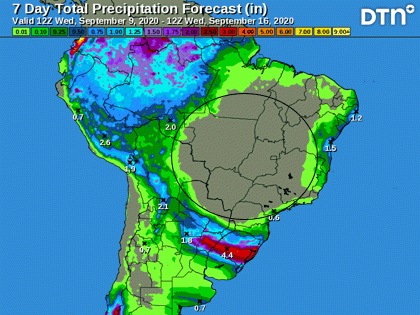 The top soybean production states are completely dry in the forecast through mid-September. (DTN graphic)