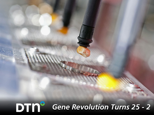 Seed chipping lets scientists analyze crop variants created through CRISPR. (Photo courtesy of Bayer Crop Science)