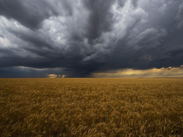 (DTN/Progressive Farmer photo by Joel Reichenberger)