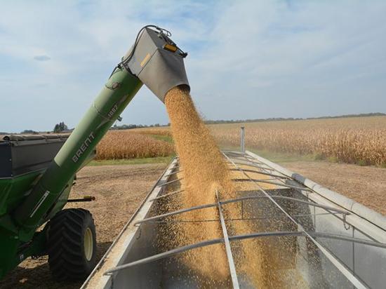 An Iowa farmer harvesting soybeans. Farmers with fields that provide consistent yields and lower loss risk could qualify for more affordable crop insurance coverage to protect against shallow losses at the field level. A new insurer, backed by artificial intelligence, will offer policies for 2027 corn and soybean crops in 15 states. (DTN file photo by Matthew Wilde)