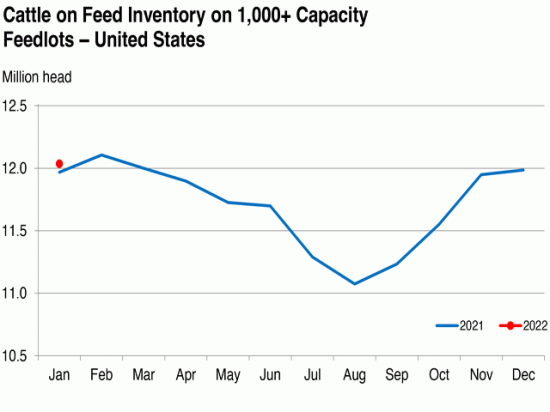 Cattle and calves on feed for the slaughter market in the United States for feedlots with capacity of 1,000 or more head totaled 12.0 million head on Jan. 1, 2022. The inventory was 1% above Jan. 1, 2021. (Chart courtesy of USDA NASS)