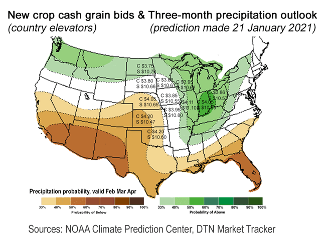 New-crop 2021 cash grain bids are less impressive than the bullishness experienced in nearby futures, yet may still be very attractive to growers in areas with good yield prospects. (Graphic by Elaine Kub)