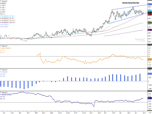 December spring wheat has traded sideways within a 30-cent range during the past four weeks. The brown line on the first study shows the Dec 21/March 22 spread at a weak carry of 3 1/4 cents. The blue bars of the histogram show the noncommercial net-long futures position increasing for three consecutive weeks to the largest held since 2014. The blue line of the lower study shows the Dec HRS/Dec HRW spread strengthening. (DTN ProphetX chart)
