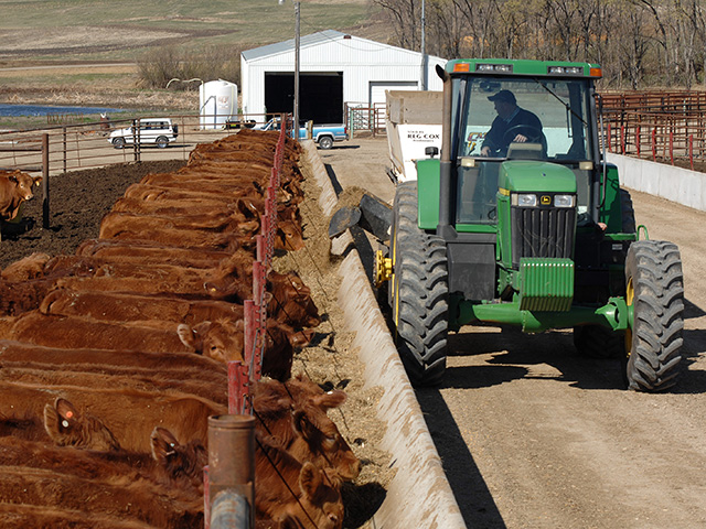 Preventing illness in cattle takes good records and a veterinarian who will advise on ways producers can avoid health problems. (DTN/Progressive Farmer file photo by Tom Stromme)