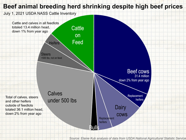 The July 1 Cattle Inventory report from USDA NASS was released on July 23, showing all cattle and calves in the United States at 101 million head, down 1% from 2020. (Illustration by Elaine Kub)