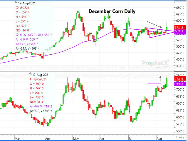 This is a split chart, showing December corn on the top breaking out of that symmetrical triangle and Kansas City September wheat forging a new high on bullish domestic and world production and stocks. (DTN ProphetX chart by Dana Mantini)