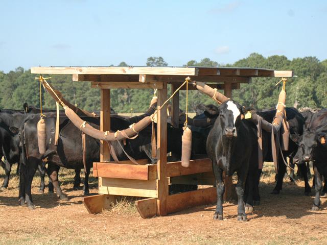 Back rubs are one control option for flies, but their effectiveness depends on what type of flies you&#039;re trying to control. (DTN/Progressive Farmer file photo by Becky Mills)