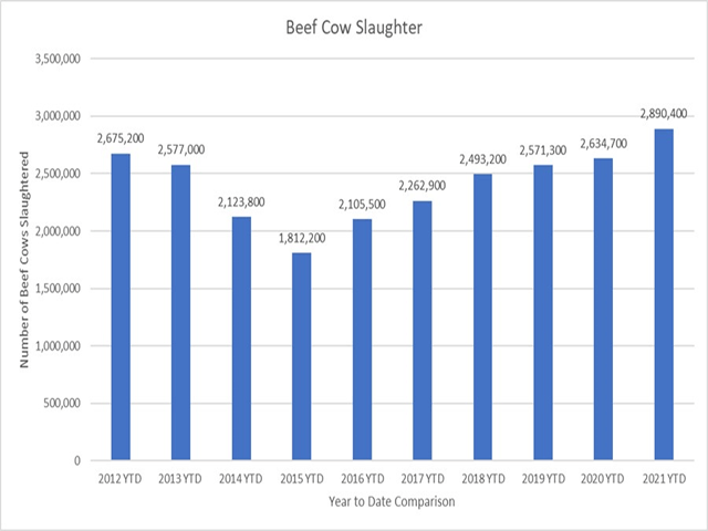 It&#039;s one thing to manage drought conditions and to fluctuate cow numbers to cashflow amid high hay prices and limited grass, but it&#039;s painful to miss out on high calf prices when the market&#039;s cycle deems that high prices are in store for producers. (DTN chart by ShayLe Stewart)