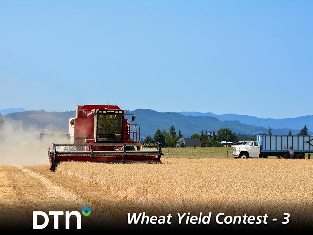 Steve VanGrunsven, of Forest Grove, Oregon, harvests a winning white winter wheat field. (Photo courtesy of Steven VanGrunsven)