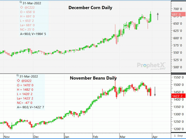 Corn Futures Rise, Soybean Futures Fall Following Usda Seedings Surprise