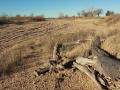The dry bed of the Arkansas River near Cimarron, Kansas illustrates the continued drop in western Kansas water supply. (Photo by Max McCoy)