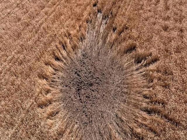 This photo was posted on the Facebook account of the General Staff of the Armed Forces of Ukraine, an eerie reminder of the dangers encountered by Ukrainian farmers in 2022, but not necessarily the only way farmers are suffering in this war.