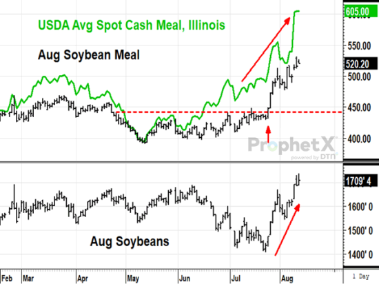 These charts show a highly unusual situation where cash soybean meal in Illinois is trading far above the expiring August contract. At the same time, August soybeans are trading well above the cash soybean price in Chicago and there have been no deliveries in August soybeans yet. How much more bullish does this market need to get? (DTN ProphetX chart by Todd Hultman)