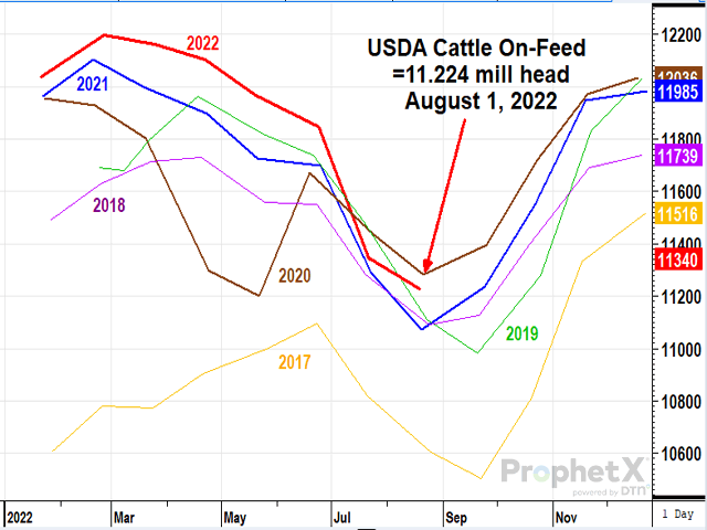 USDA released its Aug. 1 Cattle on Feed report on Friday. (DTN/Progressive Farmer file photo by Jim Patrico)
