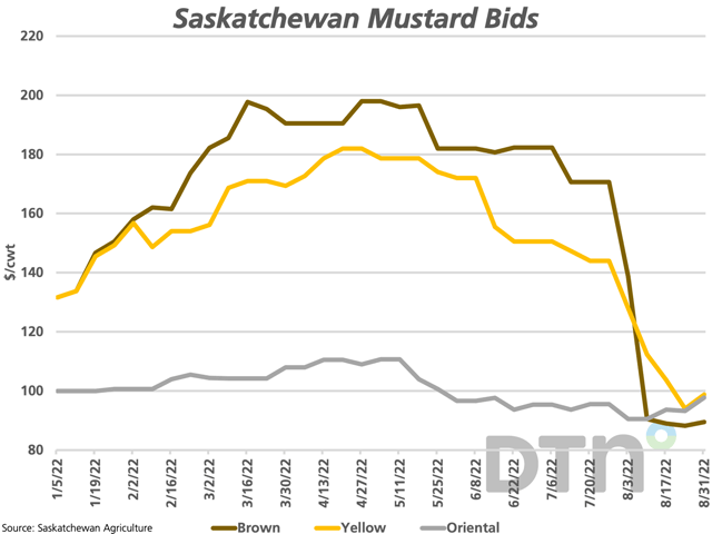 Weekly price data from Saskatchewan Agriculture shows brown, yellow and oriental mustard bids delivered to Saskatchewan plants increasing during the past week as harvest advances and following Statistics Canada's production estimates. (DTN graphic by Cliff Jamieson)