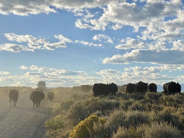 In today&#039;s marketplace, we&#039;re soberly reminded that the market has more than just two sides to analyze. (DTN photo by ShayLe Stewart)