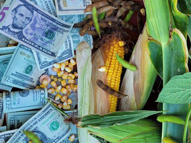 Selling grain is the final step of the farming job description: turning seeds, soil and sunshine into cold, hard cash. (Graphic by Elaine Kub)